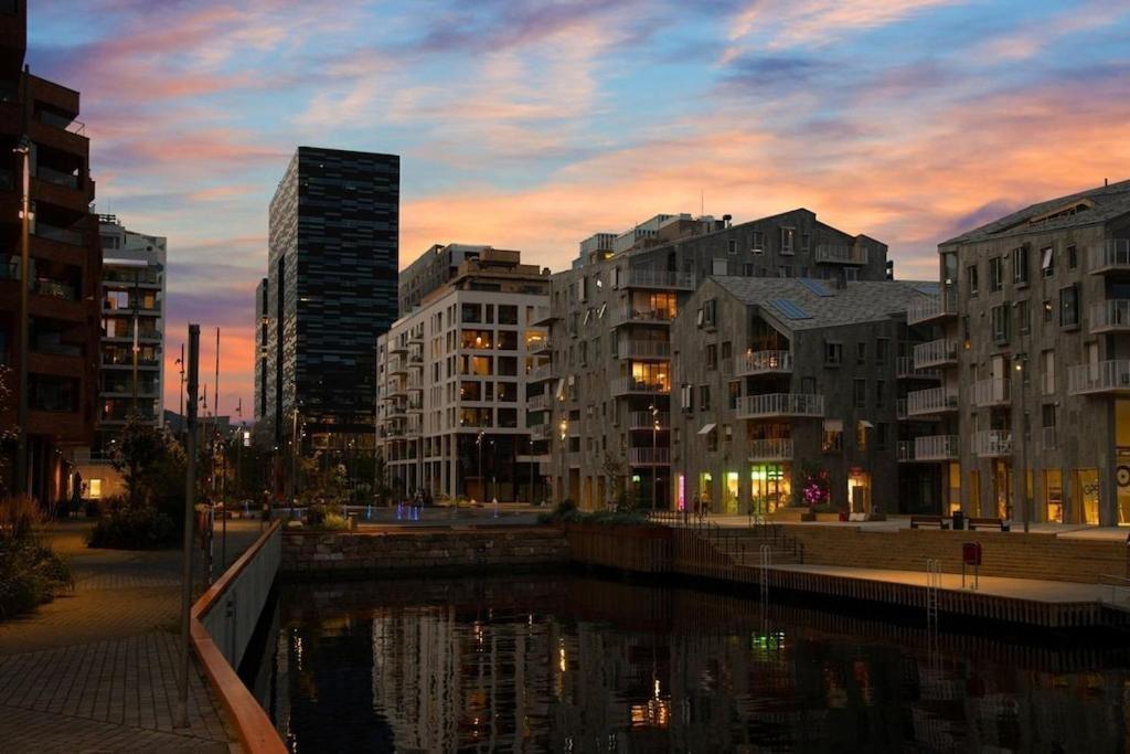 Lovely Central Apartment With Two Large Bedrooms Nearby Oslo Opera, Vis A Vis Botanical Garden Kültér fotó